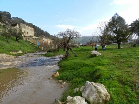 קובץ:Shvil12 miriam ben dov.jpg