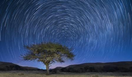 קובץ:Stars aharon amram(2).jpg