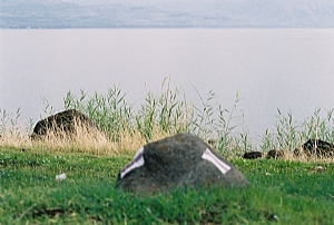 קובץ:F0 0300 0000 kineret lihi ben chouri.jpg