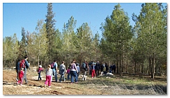 קובץ:F0 0244 0000 yarokbayaar.jpg