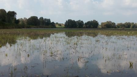 קובץ:S 20170119 124835.jpg