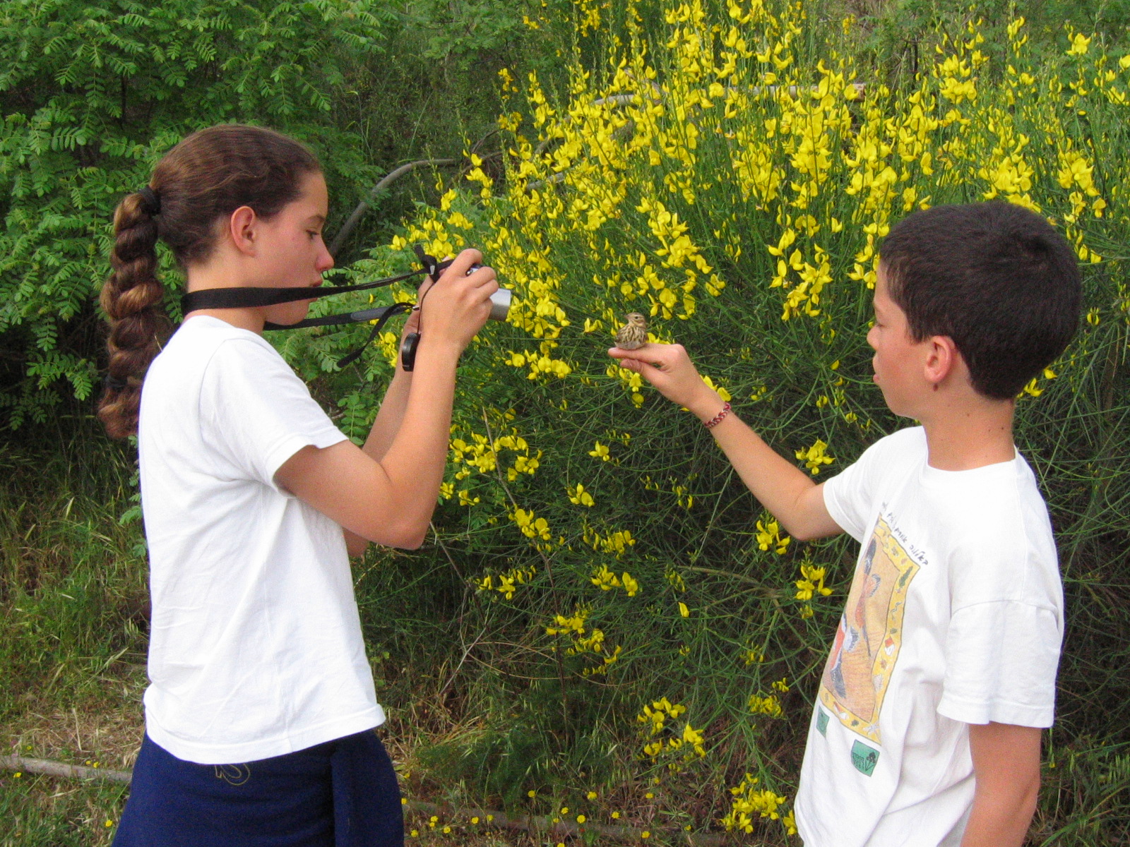 ילדים בתחנה לחקר ציפורי ירושלים בתחילת שנות ה-2000. צילום: עמיר בלבן