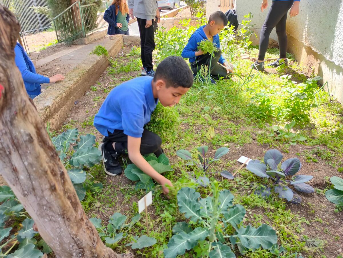 תמונת רקע לדף التّعرّف على بيت التّنمية في موقع الطّبيعة الحضريّة