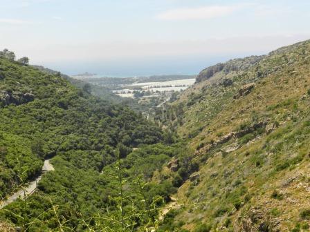 קובץ:Shvil13 miriam ben dov.jpg