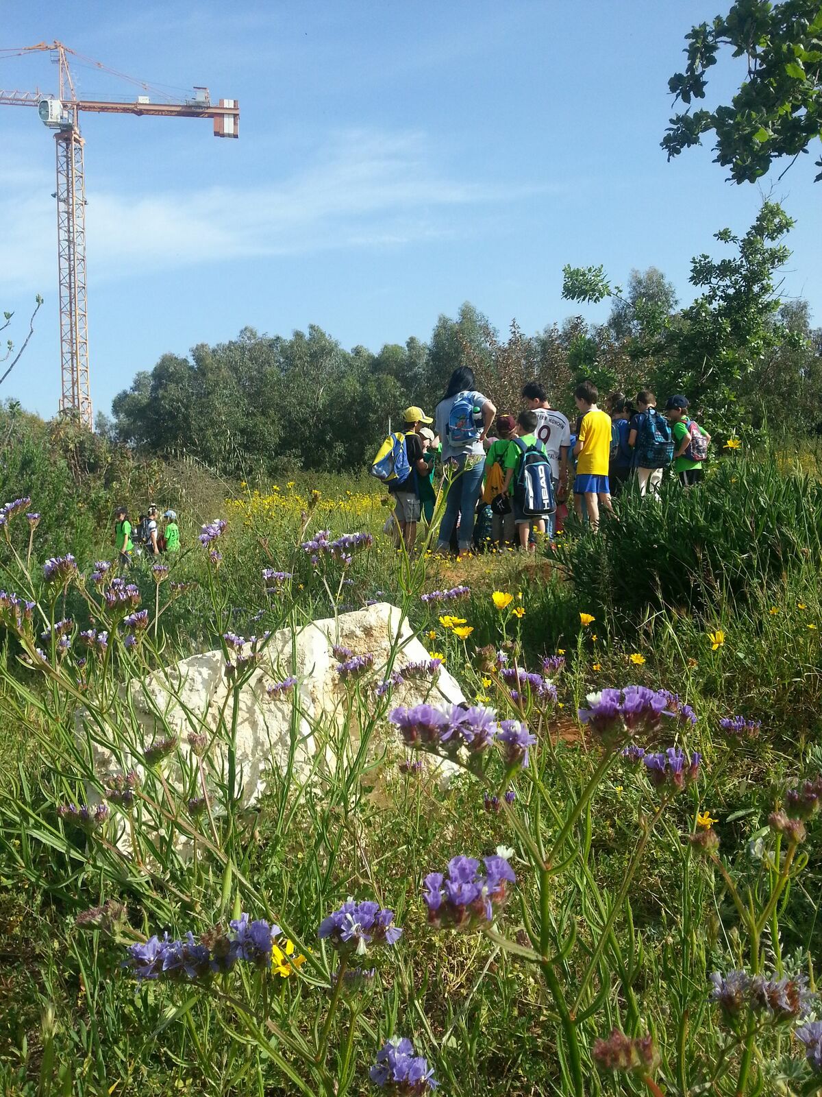 תמונת רקע לדף ما هي الطّبيعة الحضريّة؟
