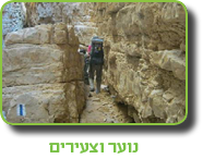 קובץ:Noarboxbeersheva.png