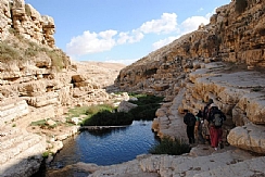 קובץ:F0 0244 0000 kelt(1).jpg