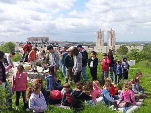 קובץ:F0 0300 0000 titora(6).jpg