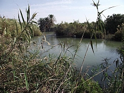 קובץ:F0 0244 0000 einafek.jpg