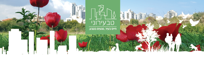 קובץ:Teva ironi(2).png