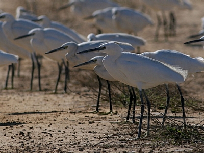 קובץ:F0 0400 0300 3(25).jpg