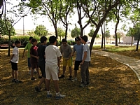 קובץ:F0 0200 0000 p1010106.jpg