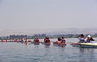 קובץ:F0 0200 0000 dafna.jpg