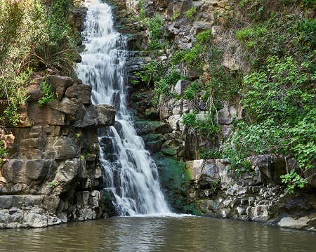 קובץ:Yeudia shaterstock(1).jpg