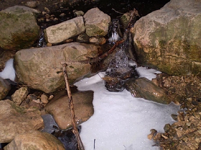 קובץ:F0 0400 0000 p1010295.jpg