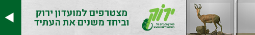 קובץ:Baner yarok(8).jpg