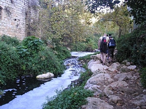 קובץ:F0 0300 0000 kezivsmall3.jpg