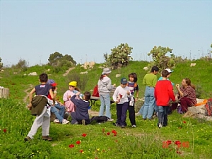 קובץ:F0 0300 0225 talkimchi.jpg