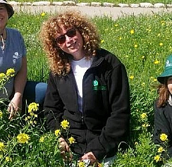 קובץ:F0 0244 0000 ronit.jpg