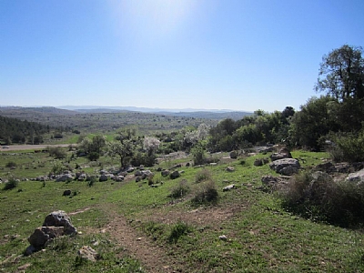 קובץ:F0 0400 0300 img 043.jpg