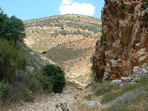 קובץ:F0 0300 0225 dishonmosheperlmouter.jpg