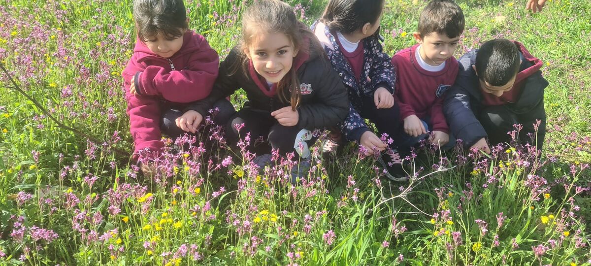 תמונת רקע לדף الشّجرة كبيت تنمية - جيراننا الخُضُر