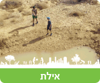 קובץ:Kaftor eilat3(2).gif