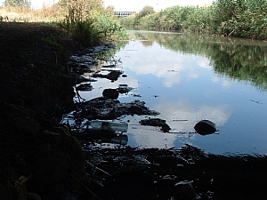 קובץ:F0 0300 0000 naamanmoshe.jpg