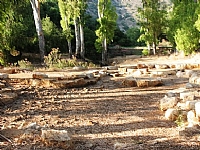 קובץ:F0 0200 0150 betzetdry.jpg