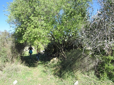 קובץ:F0 0400 0300 img 048.jpg