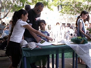 קובץ:F0 0300 0000 0052008013.jpg