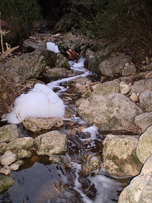 קובץ:F0 0300 0000 p1010307.jpg