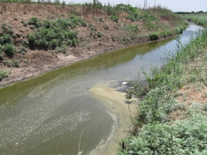 קובץ:F0 0300 0000 moshe.jpg