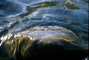 קובץ:F0 0300 0000 watersmall.jpg