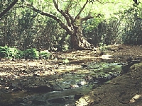 קובץ:F0 0200 0150 2(401).jpg