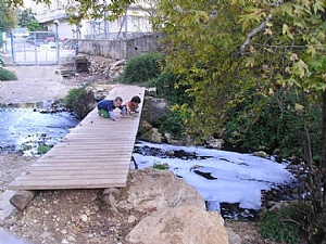 קובץ:F0 0300 0000 kezivsmall2.jpg