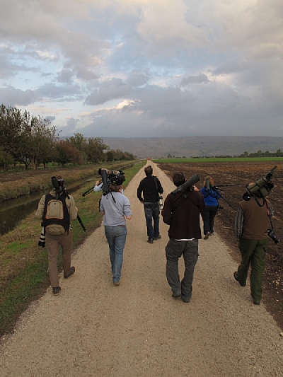 קובץ:F0 0400 0000 hulasmall.jpg